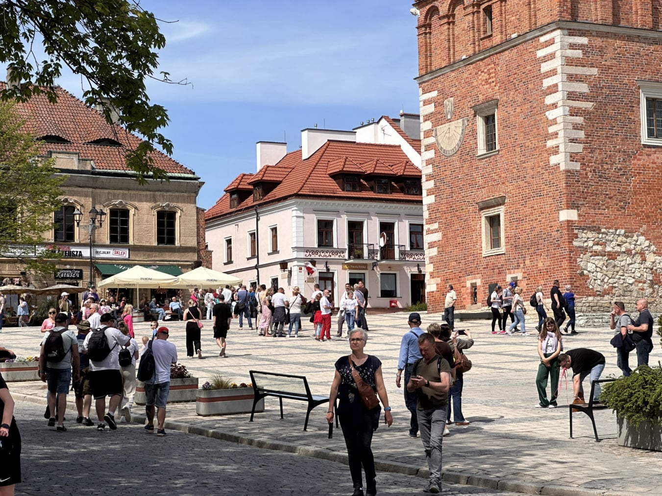 Przewodnik po Sandomierzu oprowadza po Sandomierzu